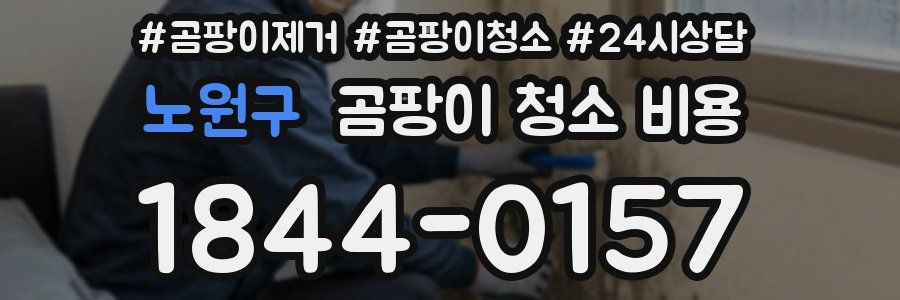 노원구 곰팡이 청소 비용