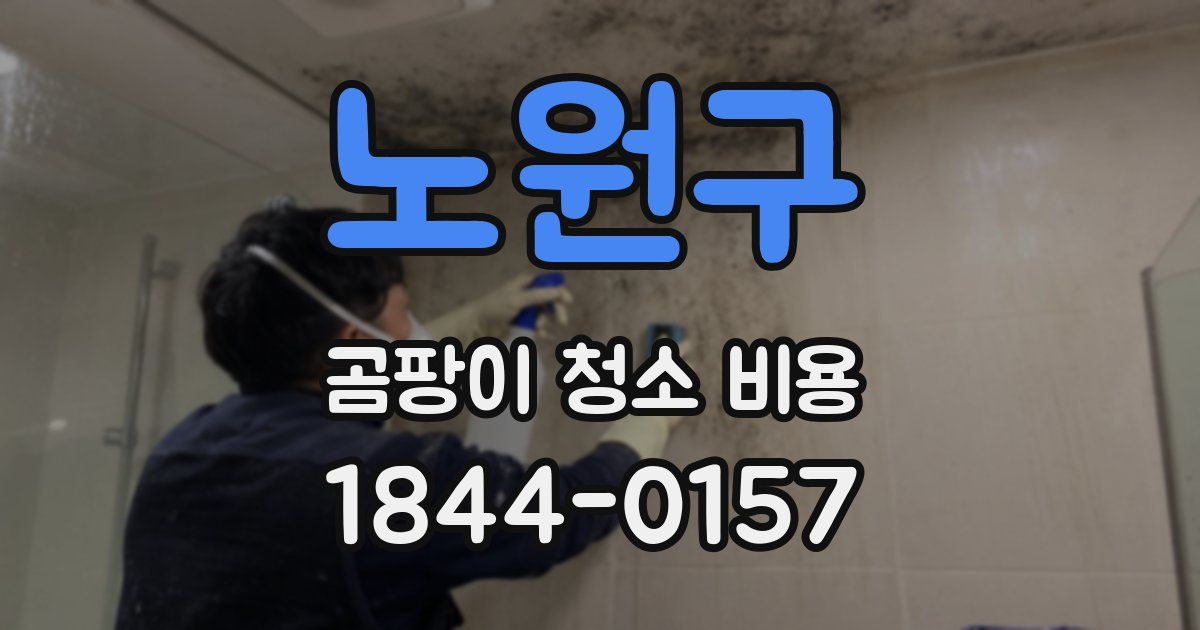 노원구 곰팡이 청소 비용