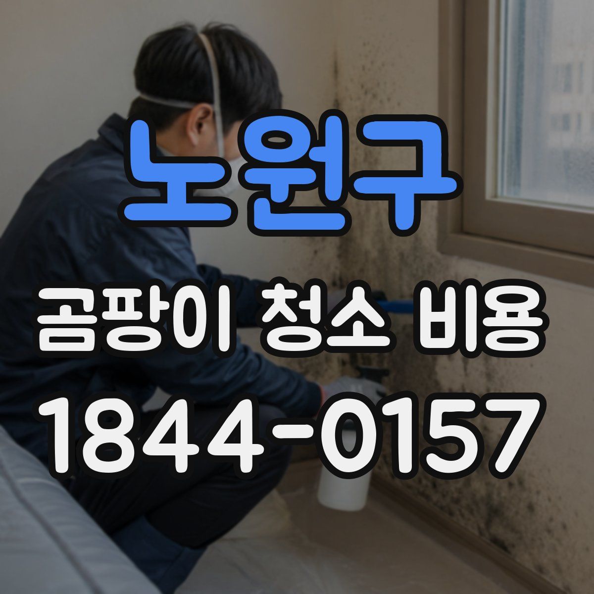 노원구 곰팡이 청소 비용
