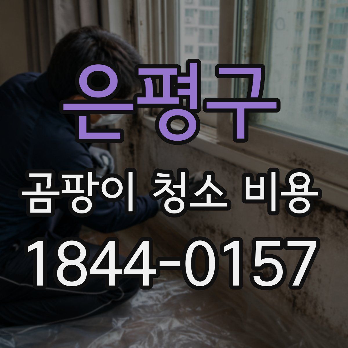 은평구 곰팡이 청소 비용