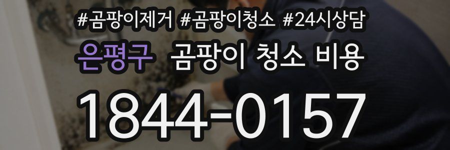은평구 곰팡이 청소 비용