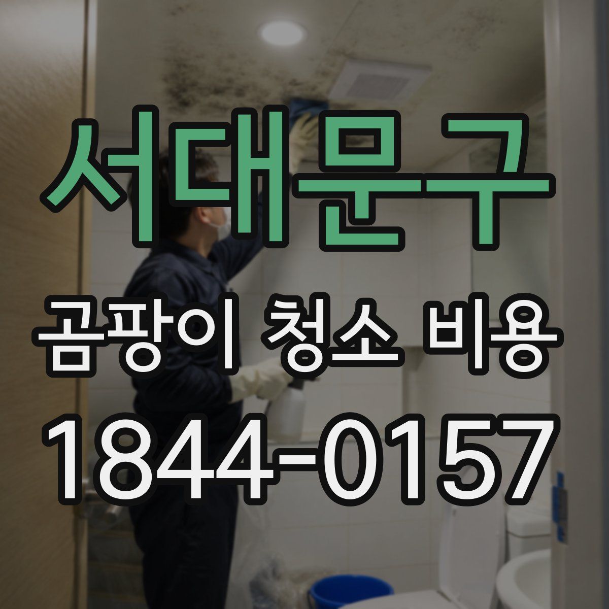 서대문구 곰팡이 청소 비용