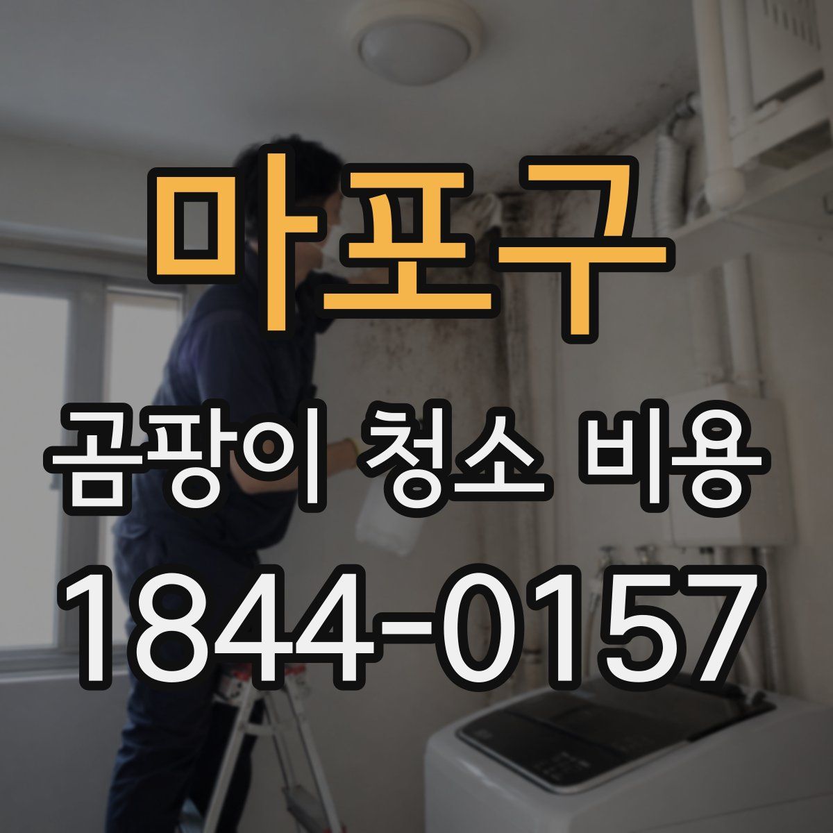 마포구 곰팡이 청소 비용