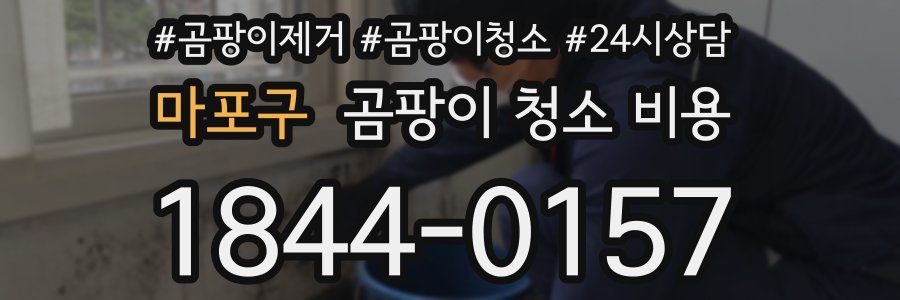 마포구 곰팡이 청소 비용