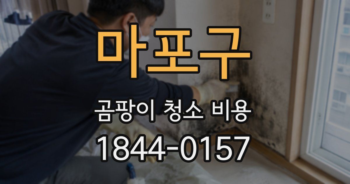 마포구 곰팡이 청소 비용