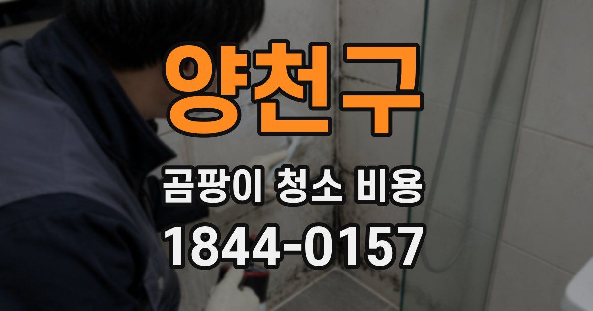 양천구 곰팡이 청소 비용
