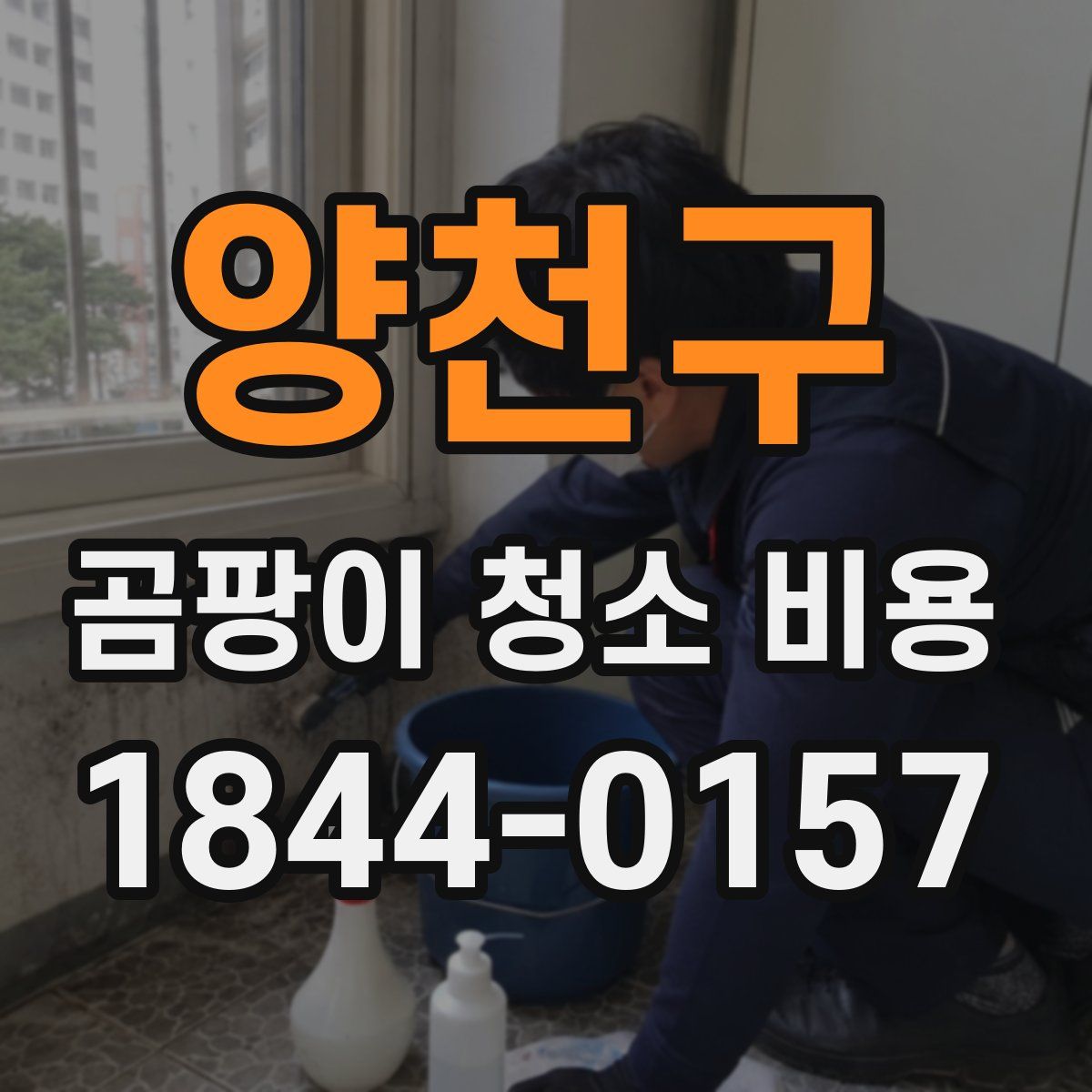 양천구 곰팡이 청소 비용