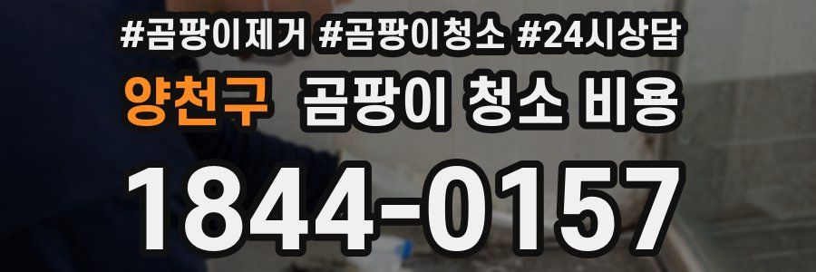 양천구 곰팡이 청소 비용