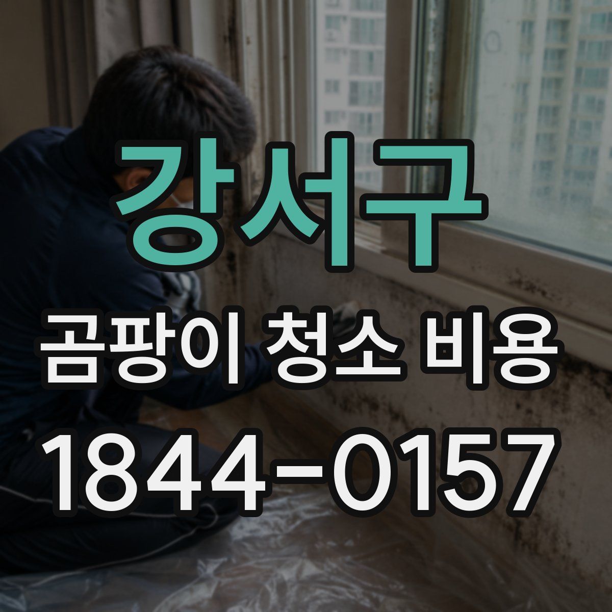 강서구 곰팡이 청소 비용