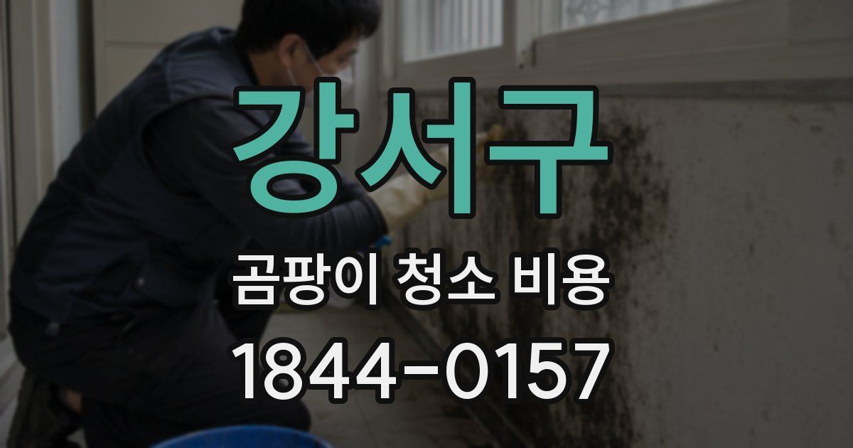 강서구 곰팡이 청소 비용