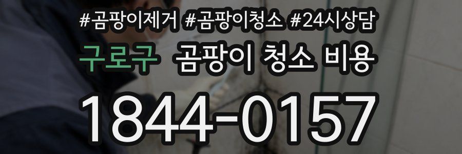 구로구 곰팡이 청소 비용