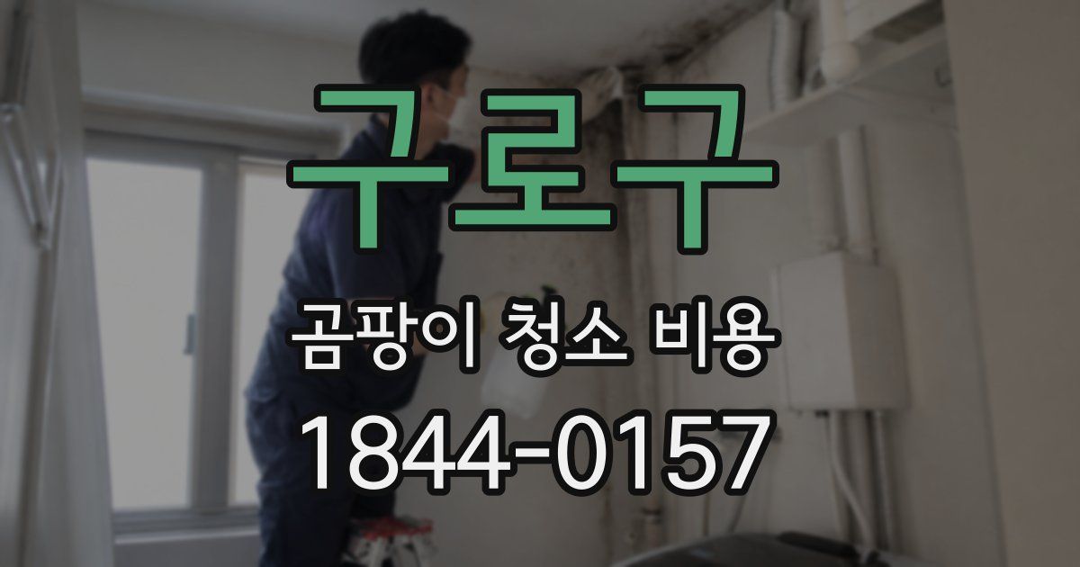 구로구 곰팡이 청소 비용