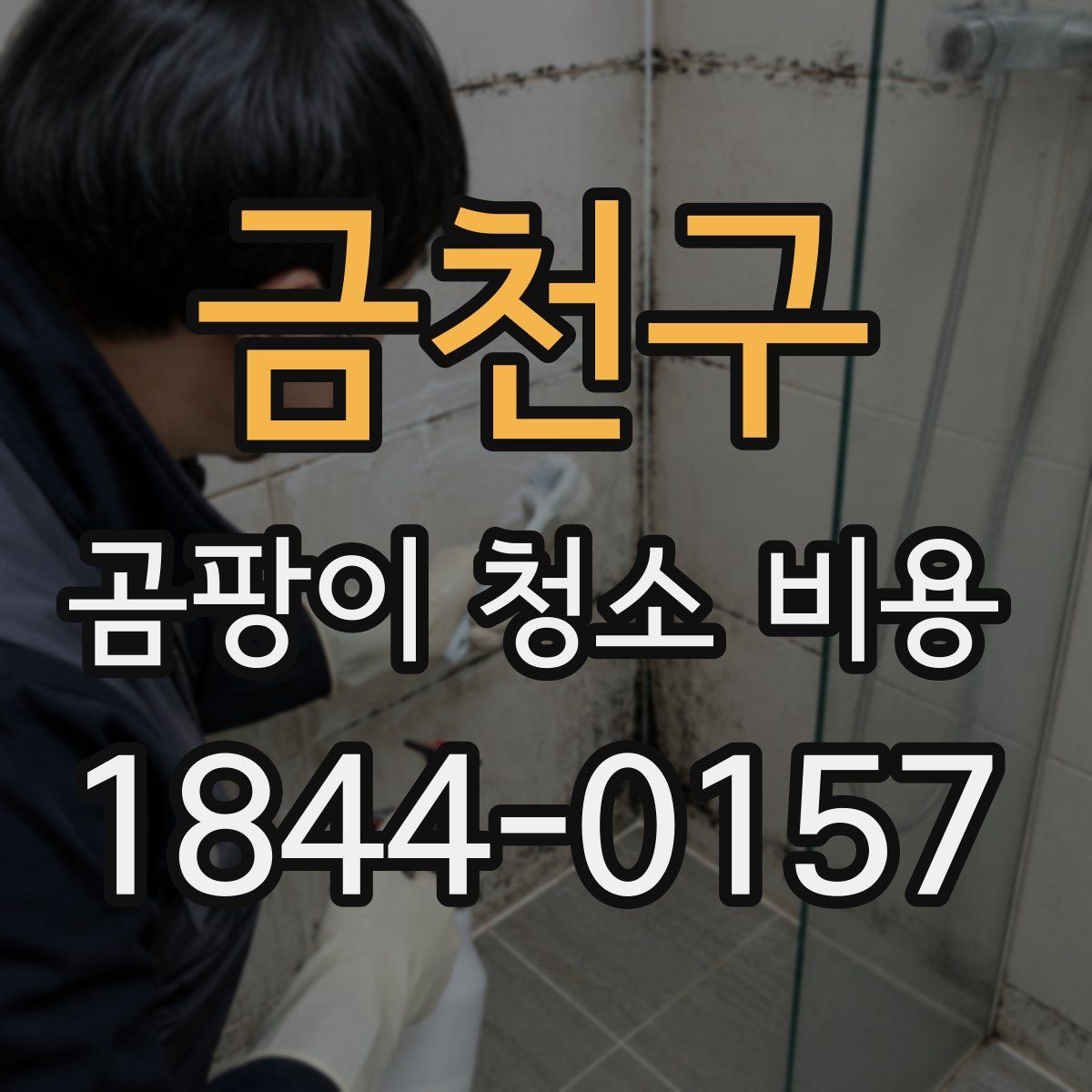 금천구 곰팡이 청소 비용