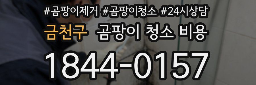 금천구 곰팡이 청소 비용