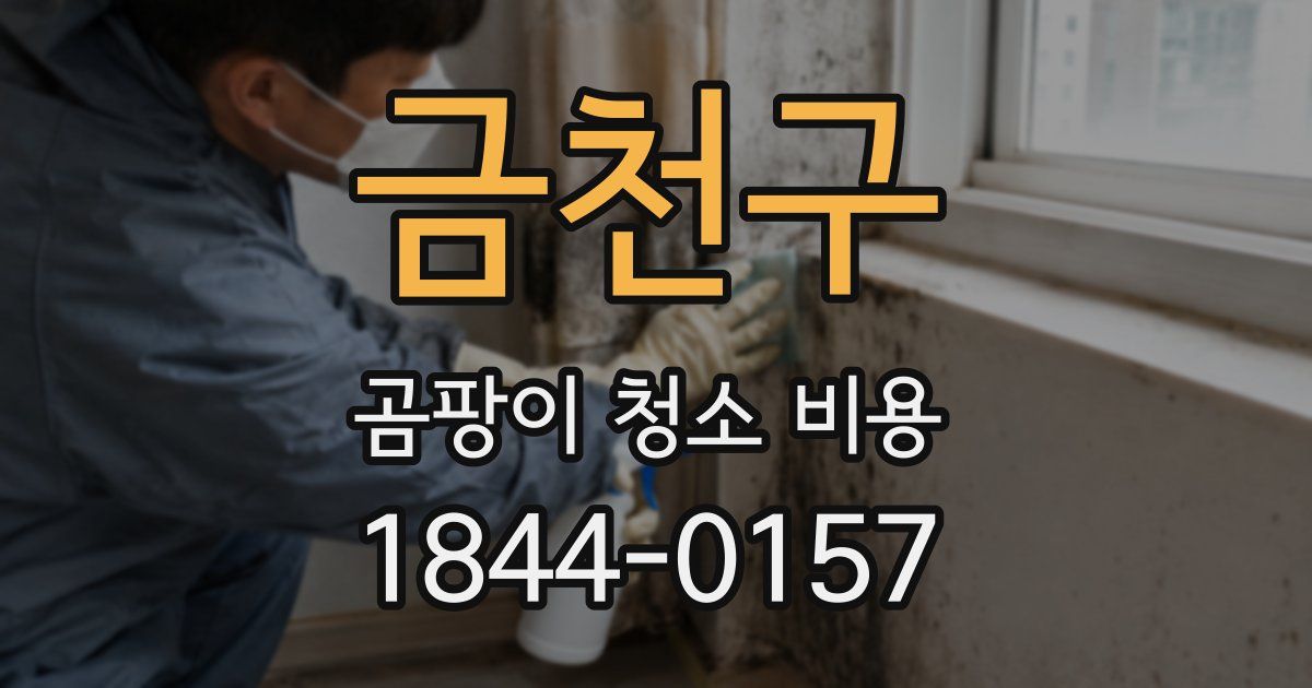 금천구 곰팡이 청소 비용