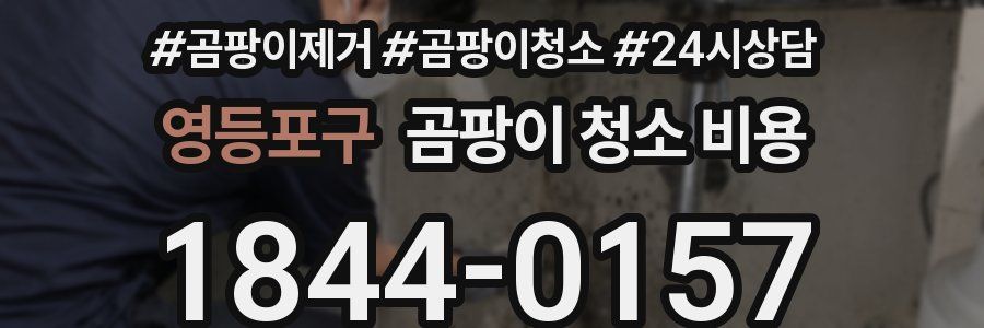영등포구 곰팡이 청소 비용