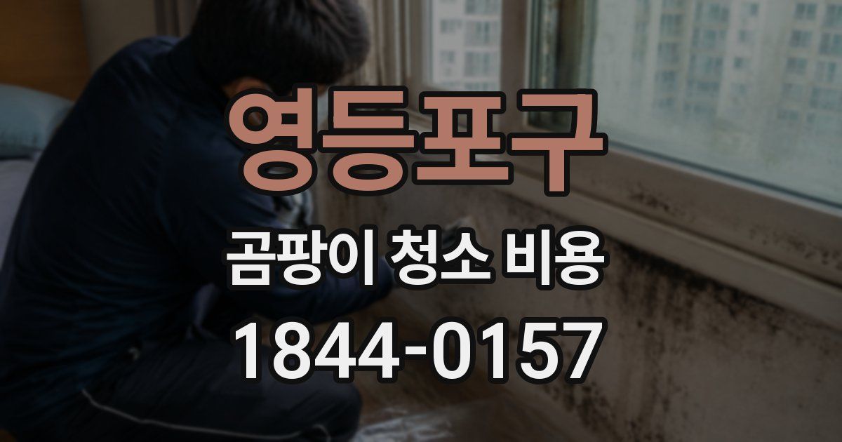 영등포구 곰팡이 청소 비용