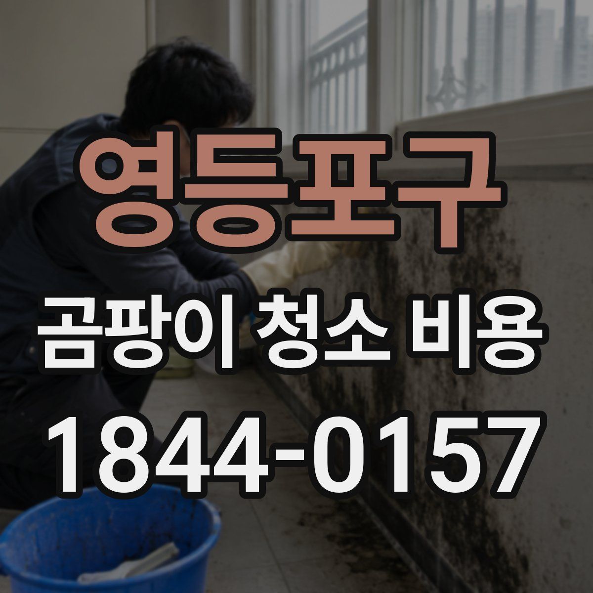 영등포구 곰팡이 청소 비용