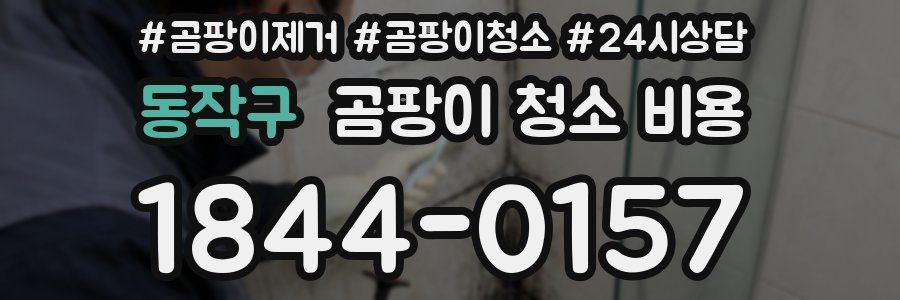 동작구 곰팡이 청소 비용