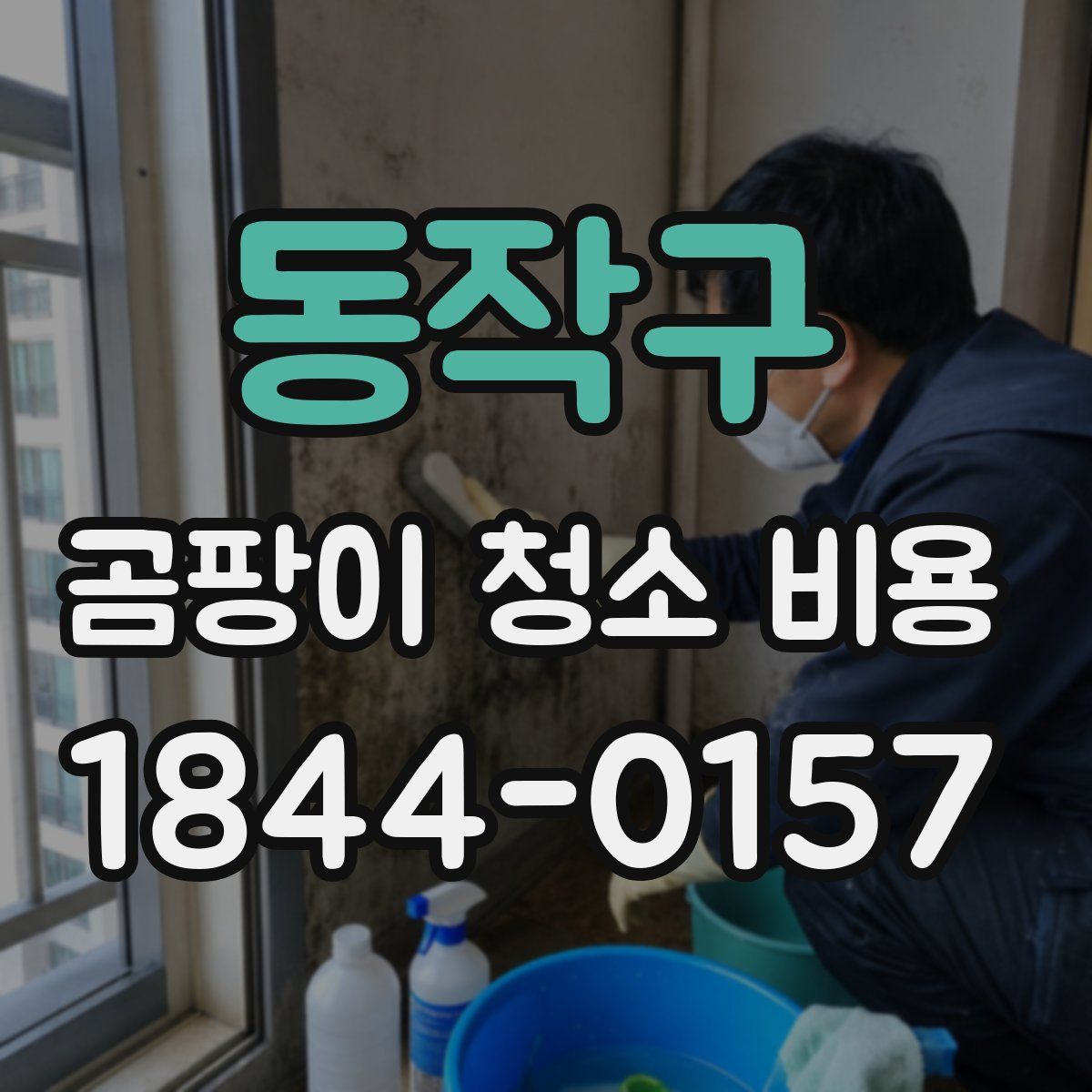 동작구 곰팡이 청소 비용