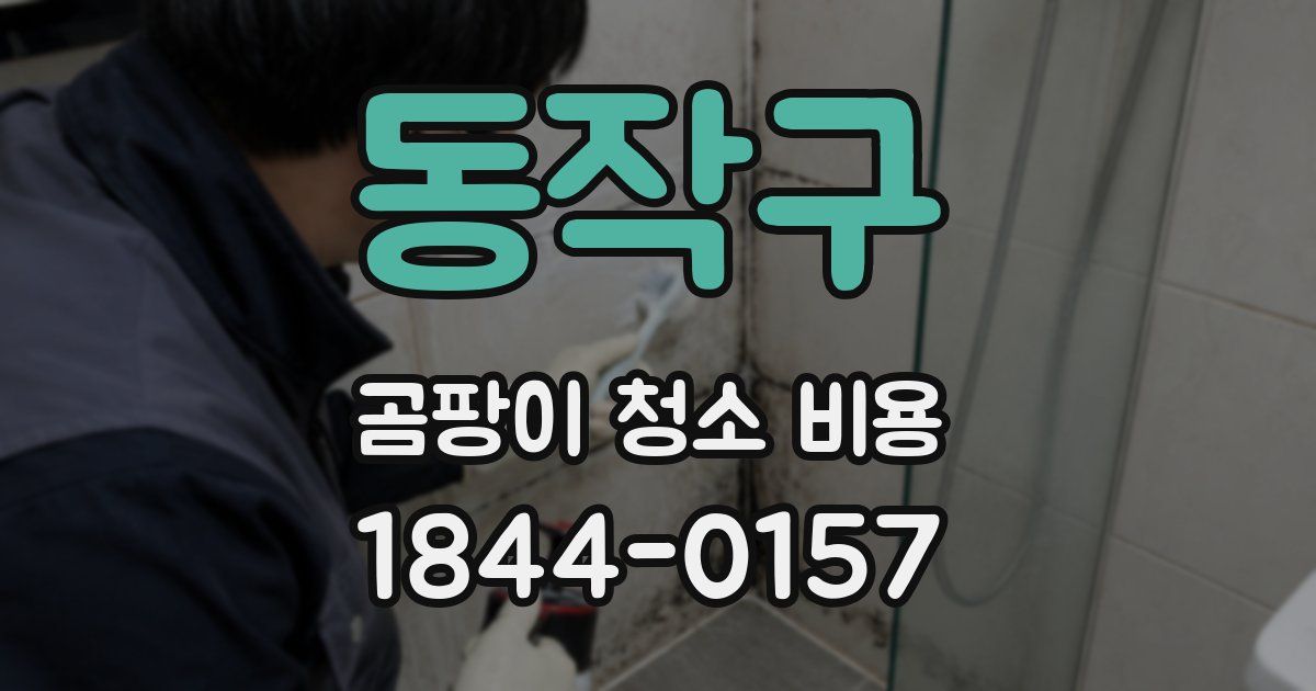 동작구 곰팡이 청소 비용