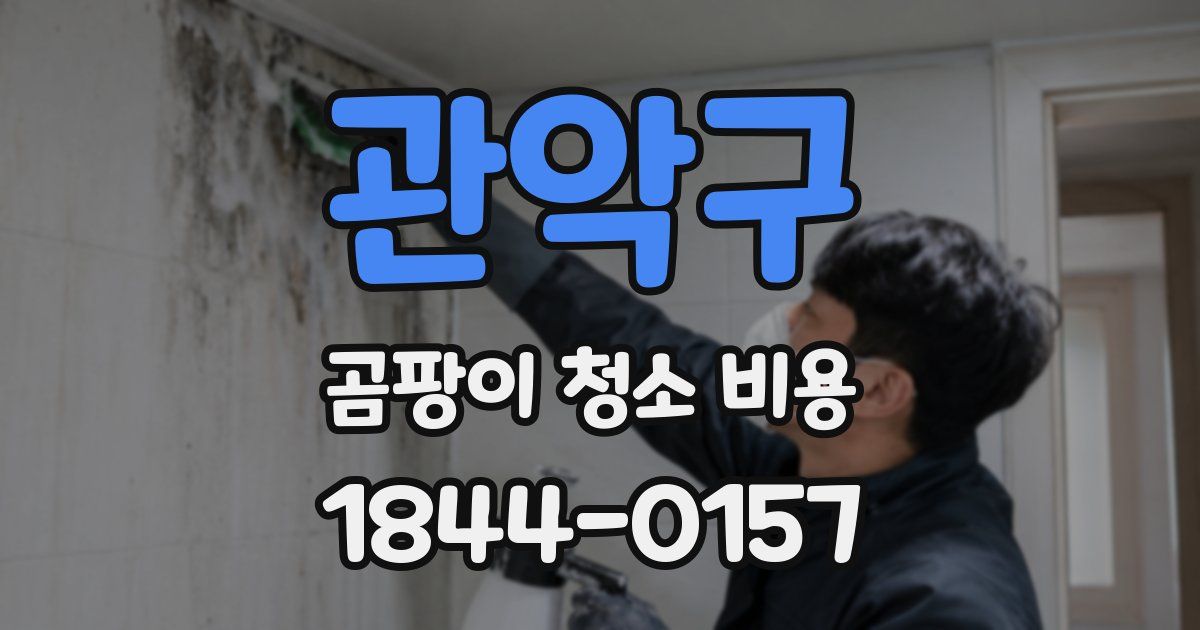 관악구 곰팡이 청소 비용