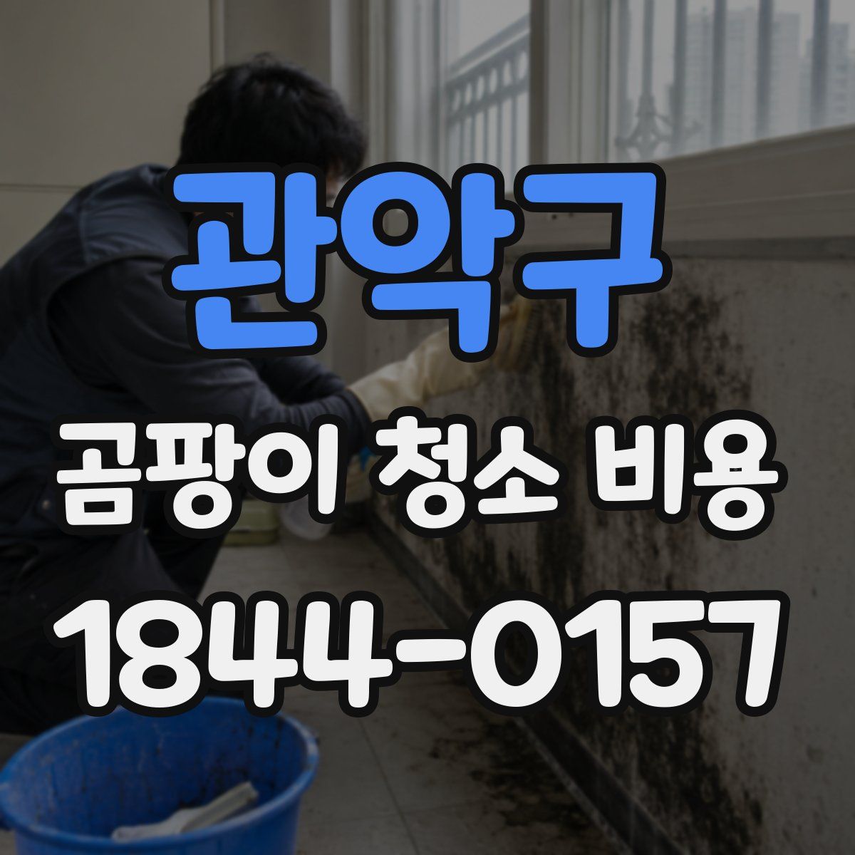 관악구 곰팡이 청소 비용