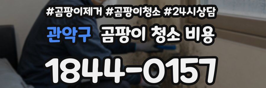 관악구 곰팡이 청소 비용