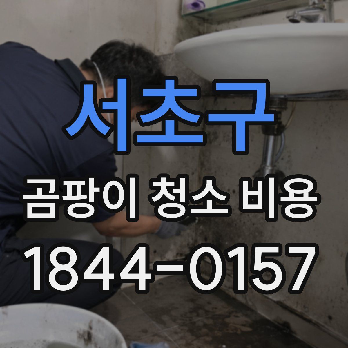 서초구 곰팡이 청소 비용