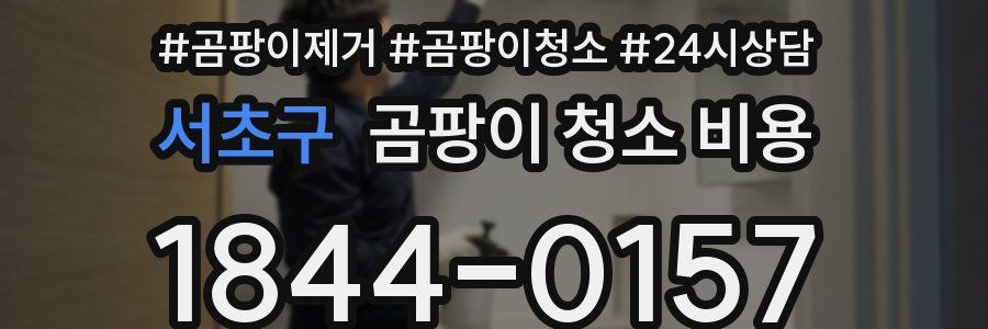 서초구 곰팡이 청소 비용