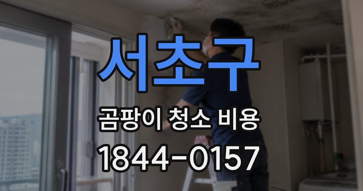 서초구 곰팡이 청소 비용