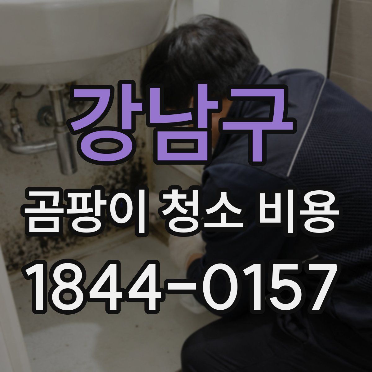 강남구 곰팡이 청소 비용