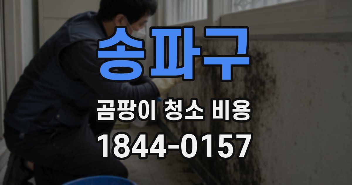 송파구 곰팡이 청소 비용