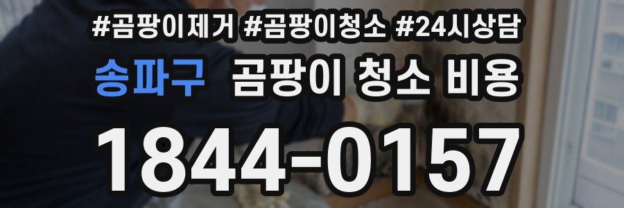 송파구 곰팡이 청소 비용