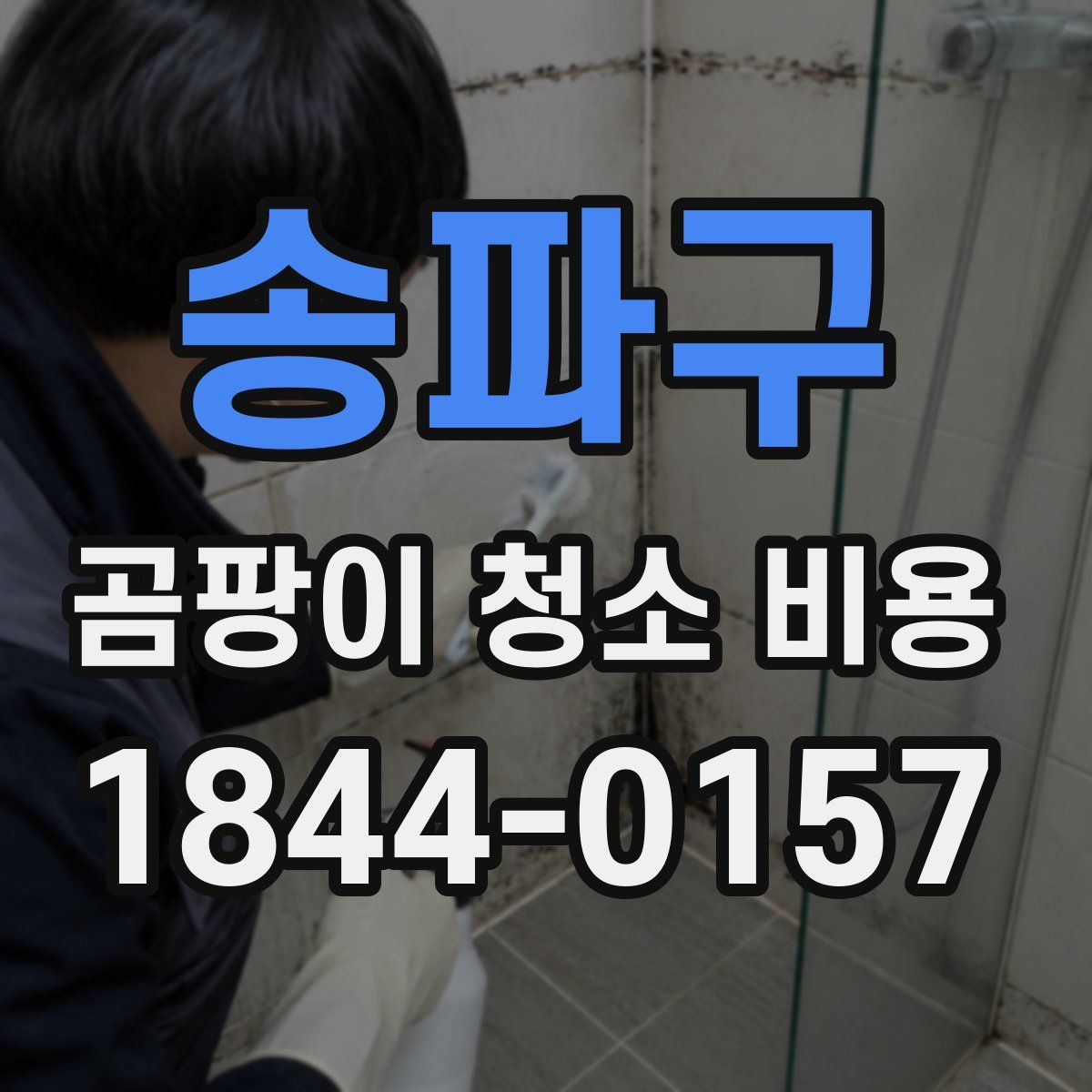 송파구 곰팡이 청소 비용