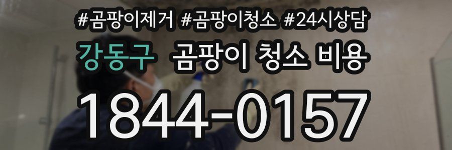 강동구 곰팡이 청소 비용