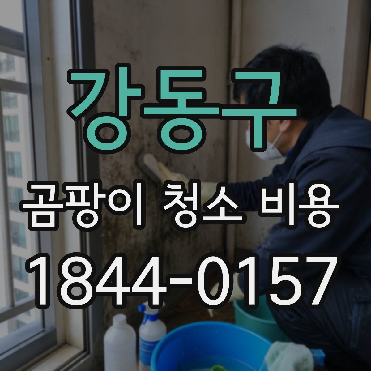 강동구 곰팡이 청소 비용
