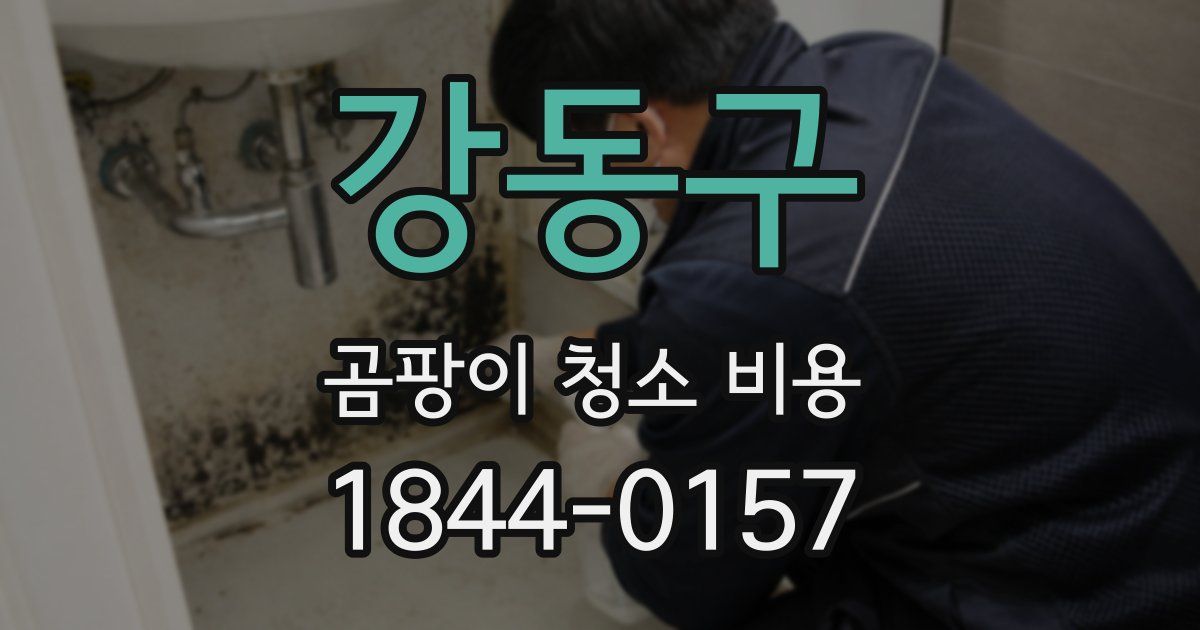 강동구 곰팡이 청소 비용