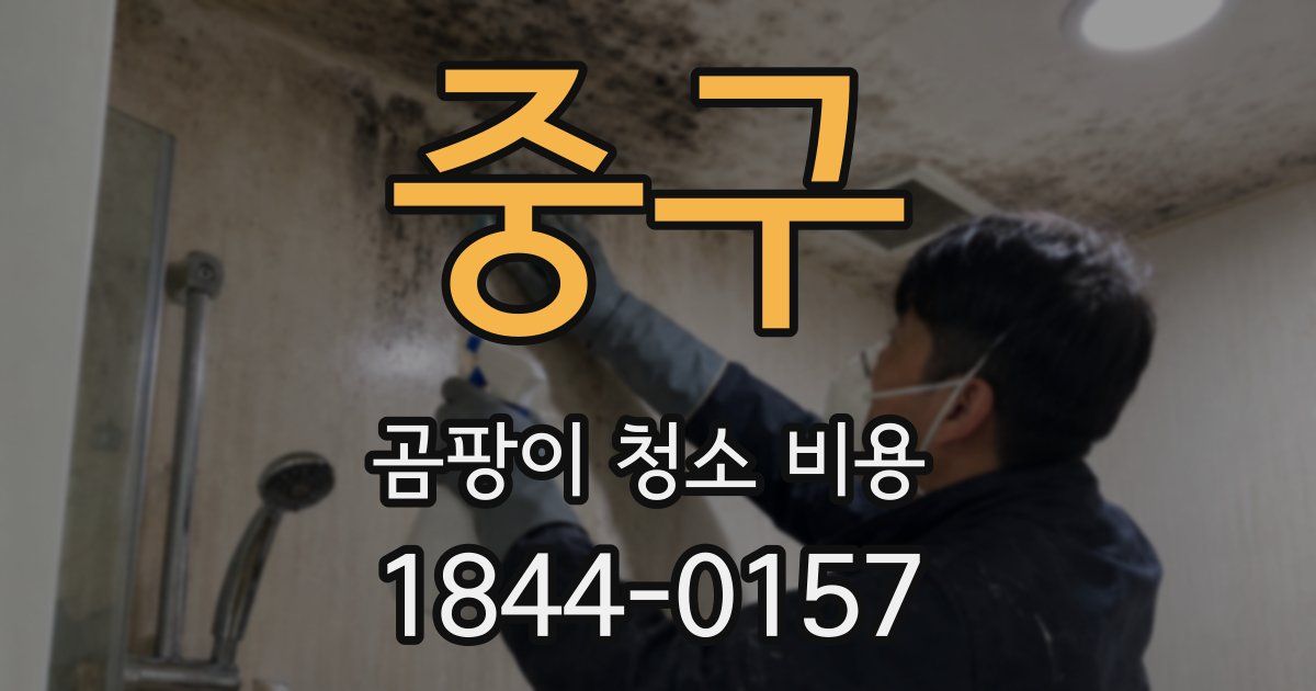 중구 곰팡이 청소 비용