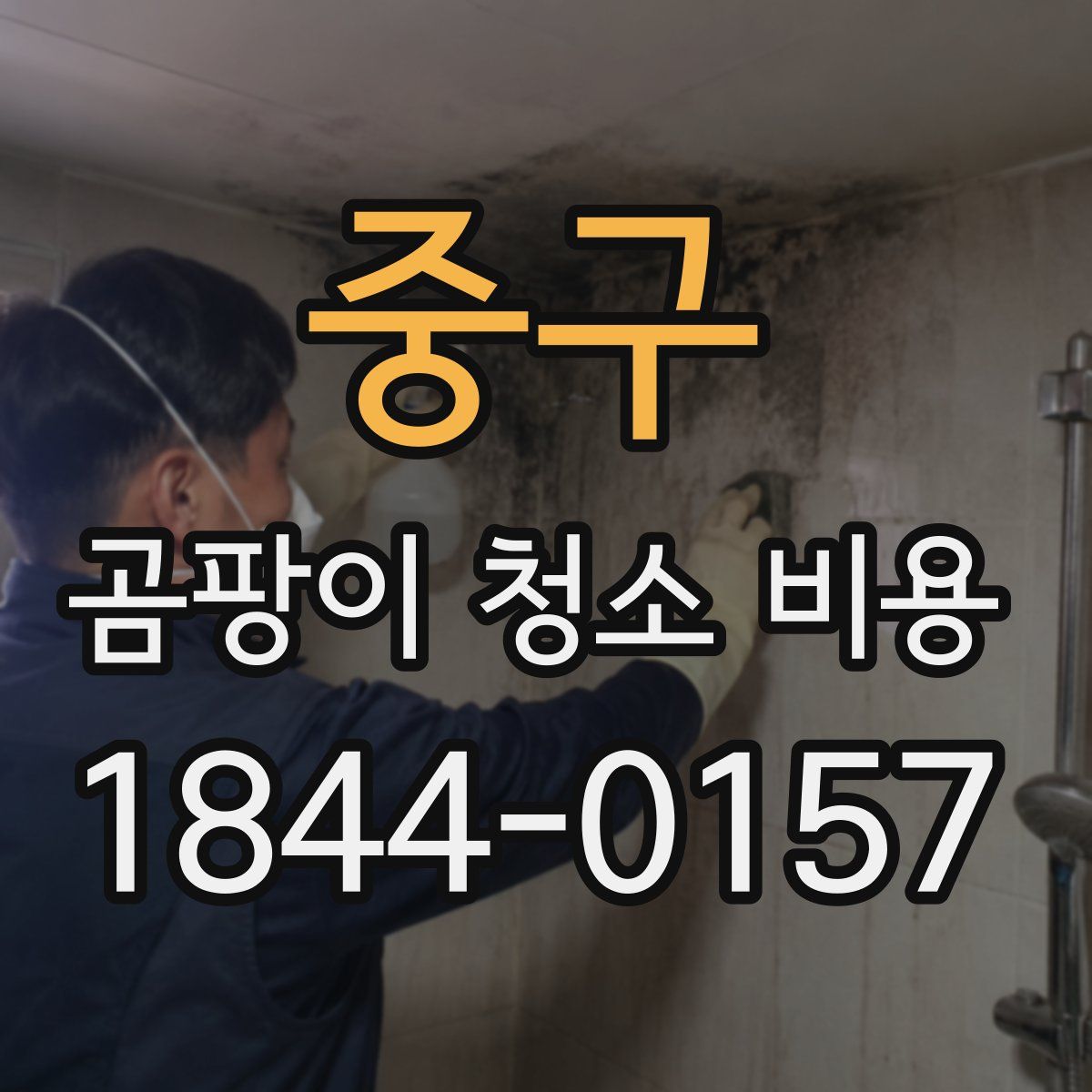 중구 곰팡이 청소 비용