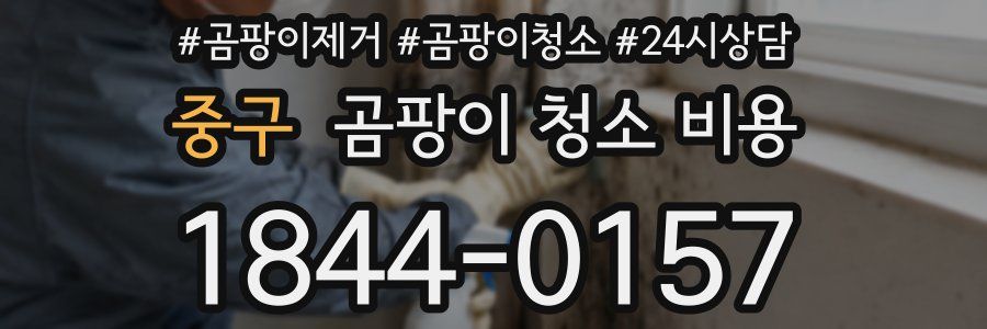 중구 곰팡이 청소 비용