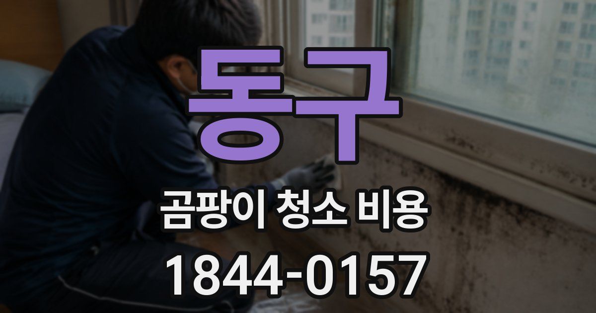 동구 곰팡이 청소 비용