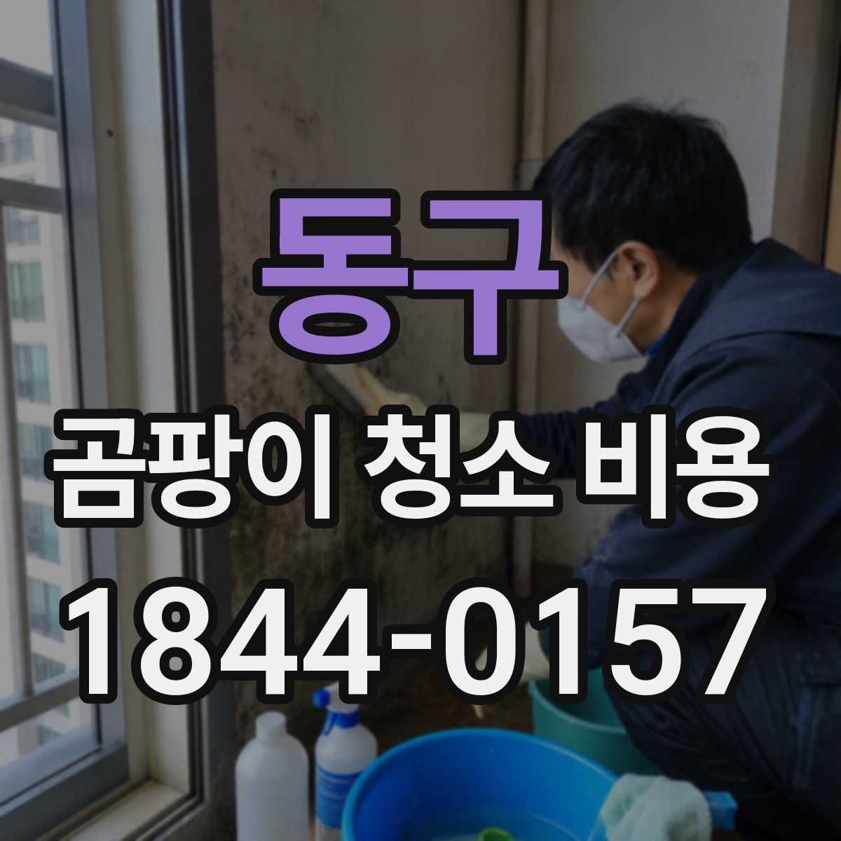 동구 곰팡이 청소 비용