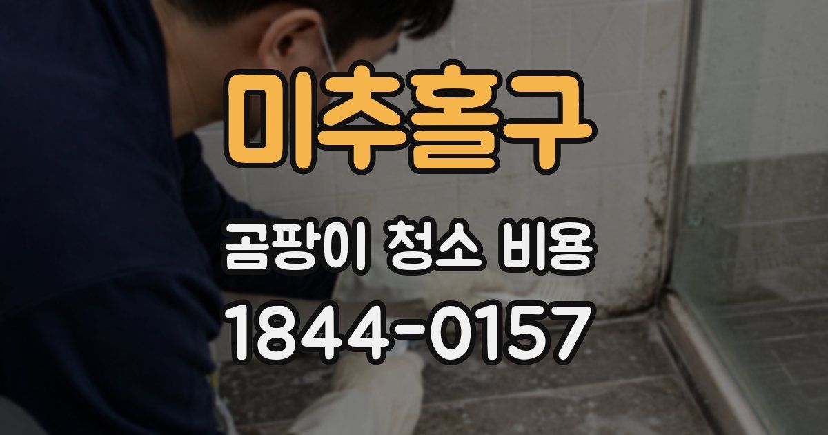 미추홀구 곰팡이 청소 비용