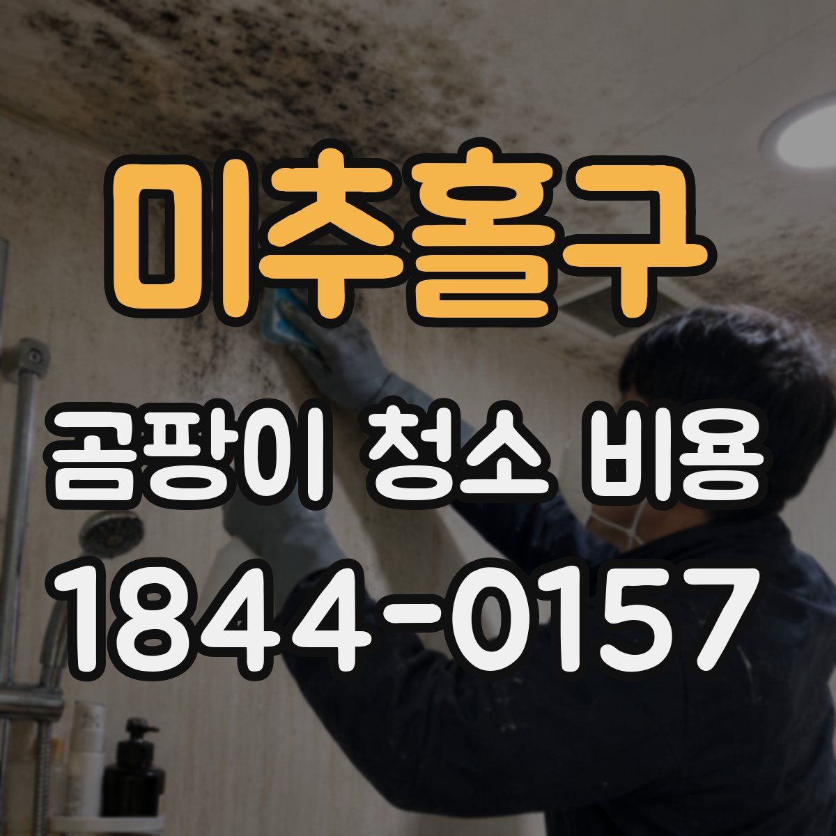 미추홀구 곰팡이 청소 비용