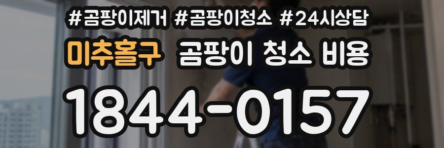 미추홀구 곰팡이 청소 비용