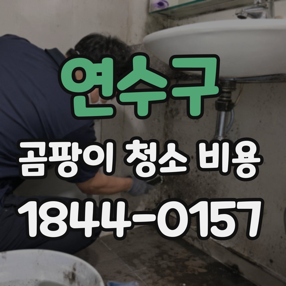 연수구 곰팡이 청소 비용