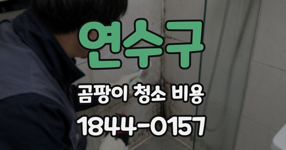 연수구 곰팡이 청소 비용