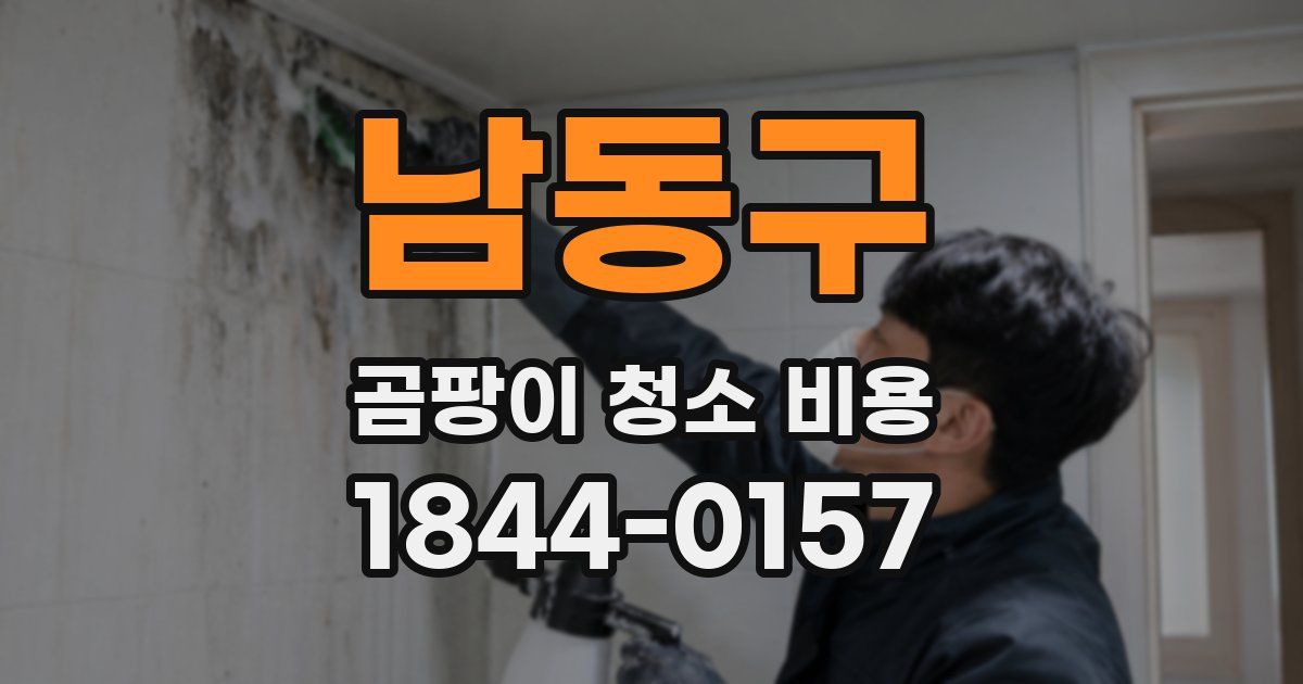 남동구 곰팡이 청소 비용