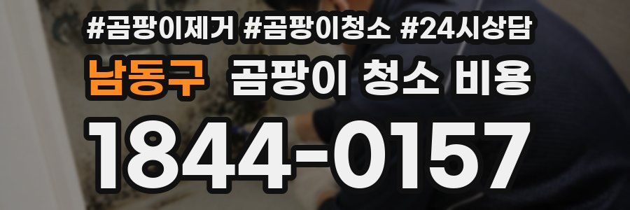 남동구 곰팡이 청소 비용